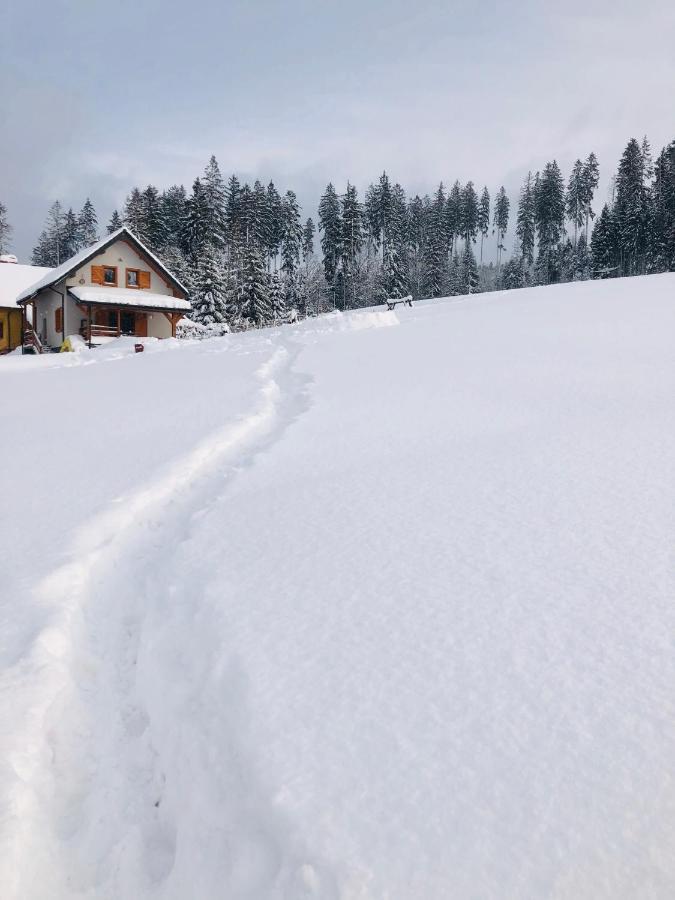 Domek W Gorach Jaworzynka Villa Dış mekan fotoğraf