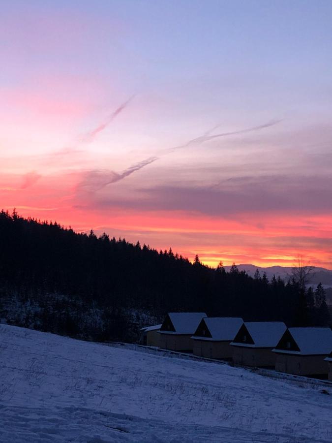 Domek W Gorach Jaworzynka Villa Dış mekan fotoğraf